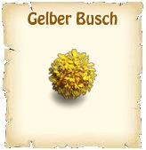 Bildtext