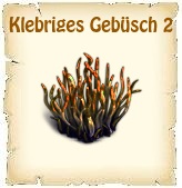 Bildtext