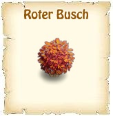 Bildtext