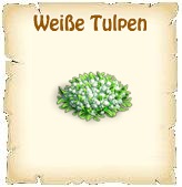 Bildtext