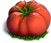 Riesige Tomate 3