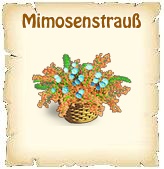 Mimosenstrauß 2