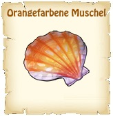 Orangefarbene Muschel