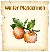 Winter Mandarinen