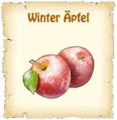 Winter Äpfel